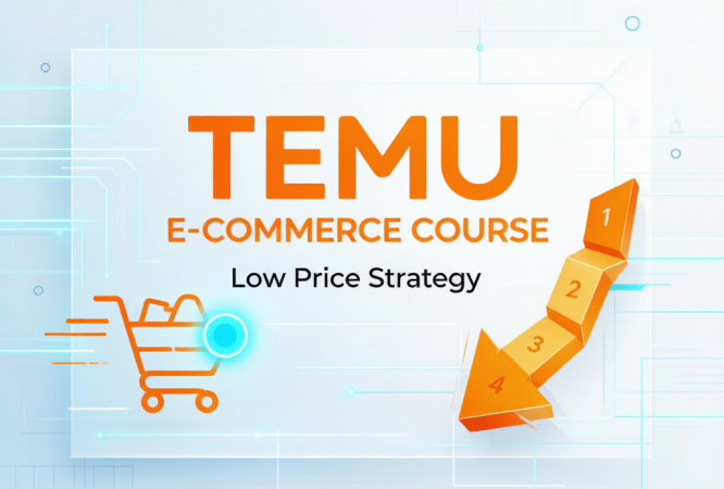 Professional_TEMU_e_commerce_c_2026-06-24T10-37-19